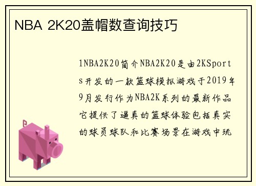 NBA 2K20盖帽数查询技巧